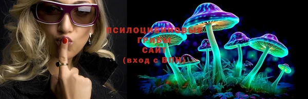 2c-b Кулебаки