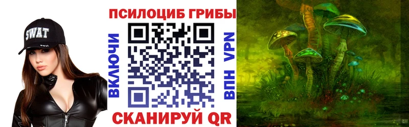 Галлюциногенные грибы Psilocybine cubensis  цены   Михайловка 